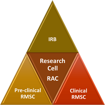 Radiological Department